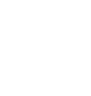 SPIT logo